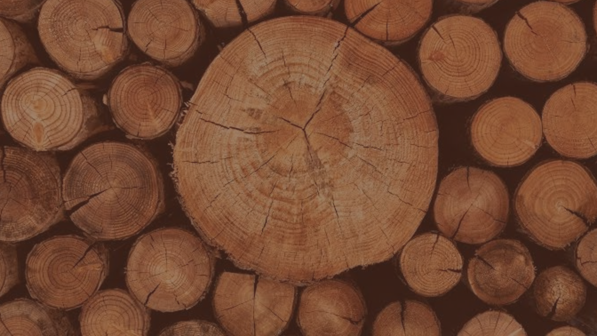 Wood workshop with tools